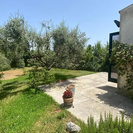 La Civetta