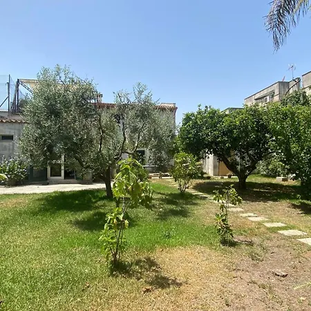 La Civetta