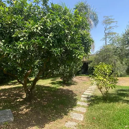 La Civetta *
